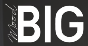 Logo di Big Mood
